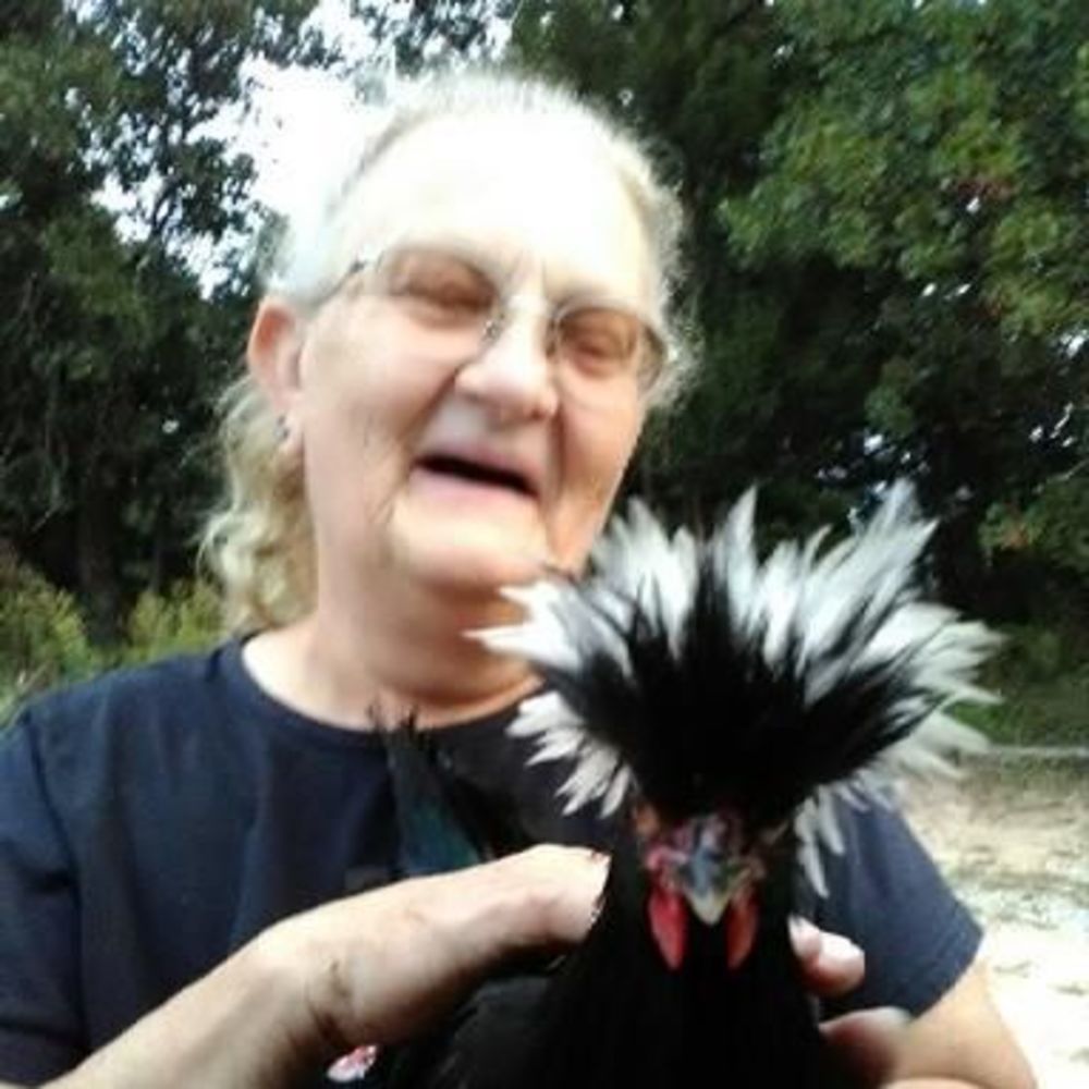 Meet your Posher, Beverly